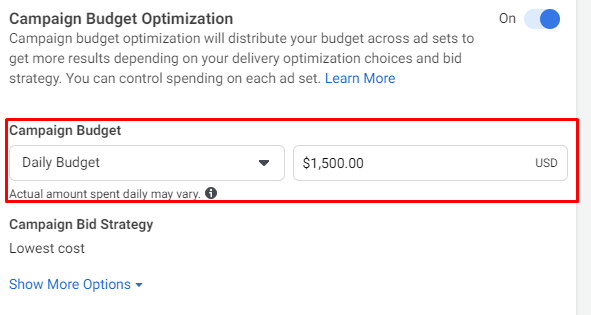 VBM Spending